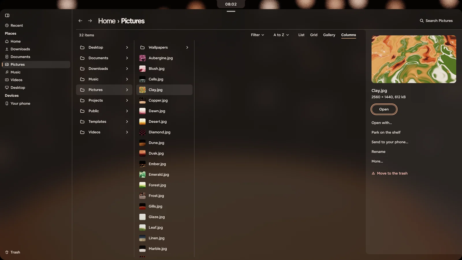 Files filling the screen in Columns view, with a picture selected and its panel open on the right.