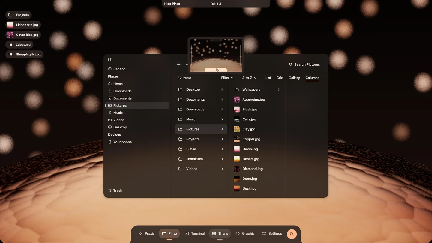 A Files window with its menu open: a small map of the screen, the dock risen at the bottom and the notch saying Hide Pinax.